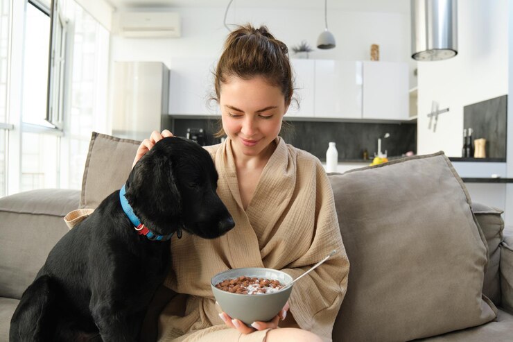 best dog food for healthy skin and coat